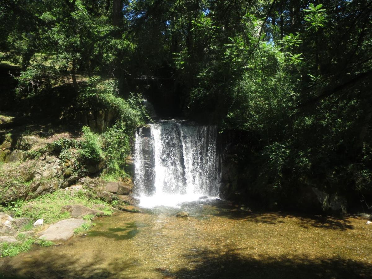 Le Moulin Blanc Castelmaurou